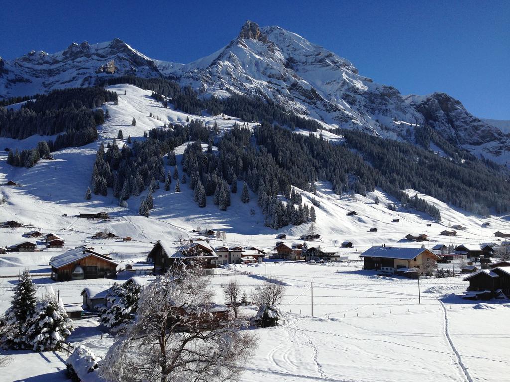Chalet Butterfly Adelboden Chambre photo