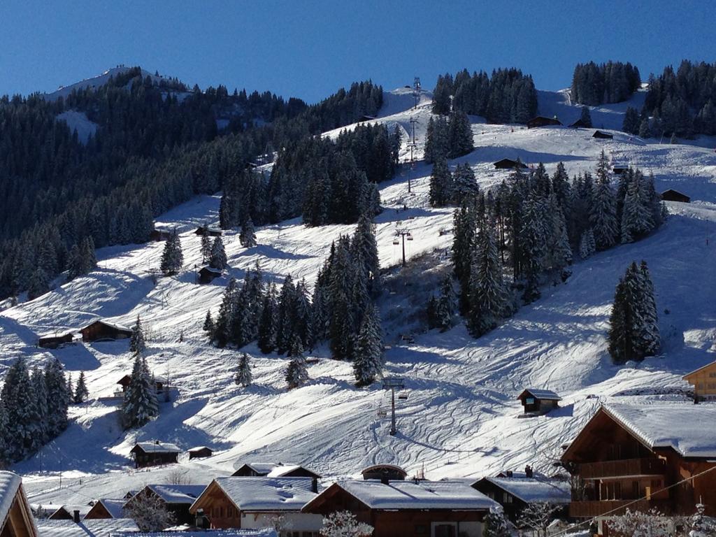 Chalet Butterfly Adelboden Chambre photo